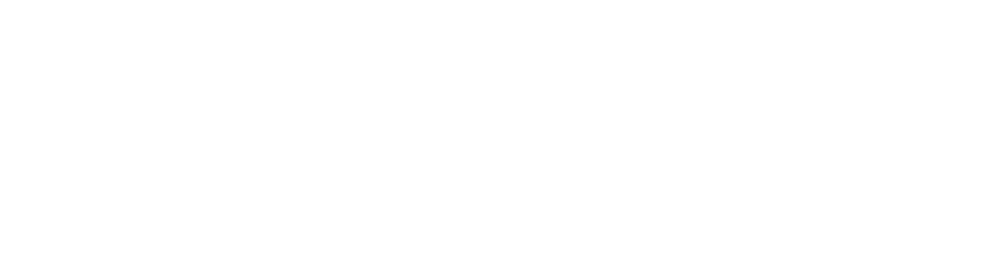 Limerick City and County Council Logo